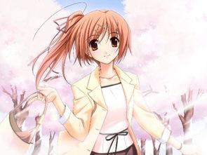 动漫图包,穿越次元，捕捉光影中的青春记忆